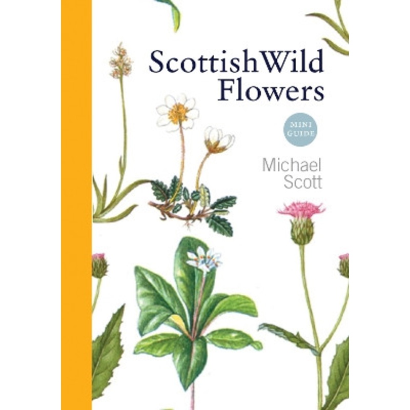 Scottish Wild Flowers: Mini Guide by Michael Scott