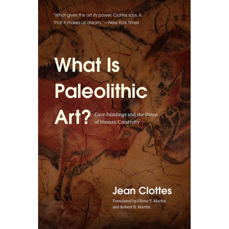 What is Paleolithic Art?: Cave Paintings and the Dawn of Human Creativity by Jean Clottes