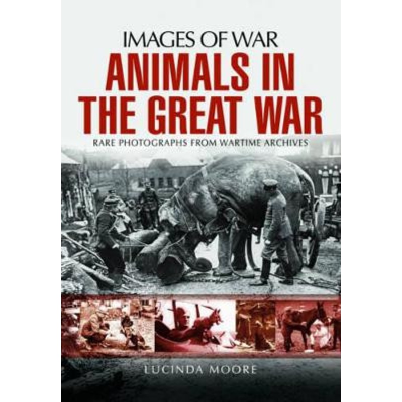 Animals in the Great War by Lucinda Moore 9781473862111