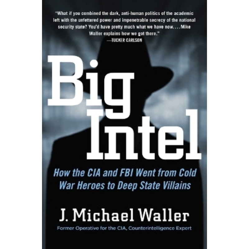 Big Intel: How the CIA and FBI Went from Cold War Heroes to Deep State Villains by J Michael Waller 9781684513536