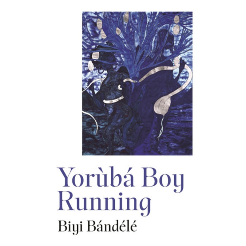 Yorb Boy Running by Biyi Bandele 9780241562697