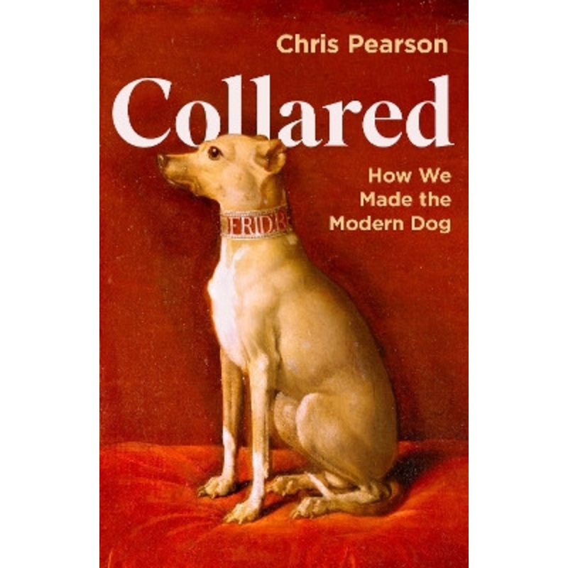 Collared: How We Made the Modern Dog Chris Pearson 9781800816411
