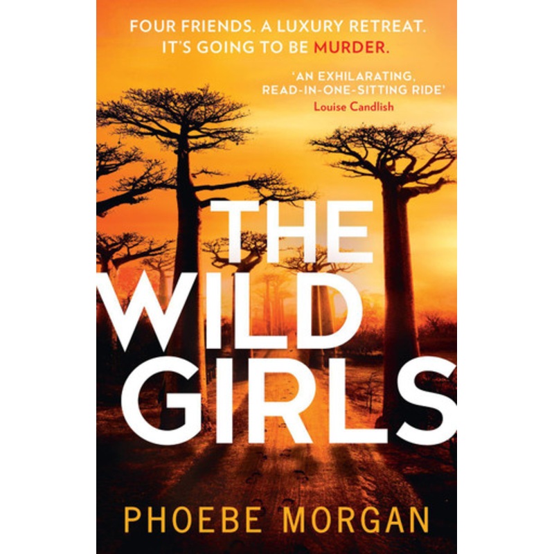 The Wild Girls by Phoebe Morgan