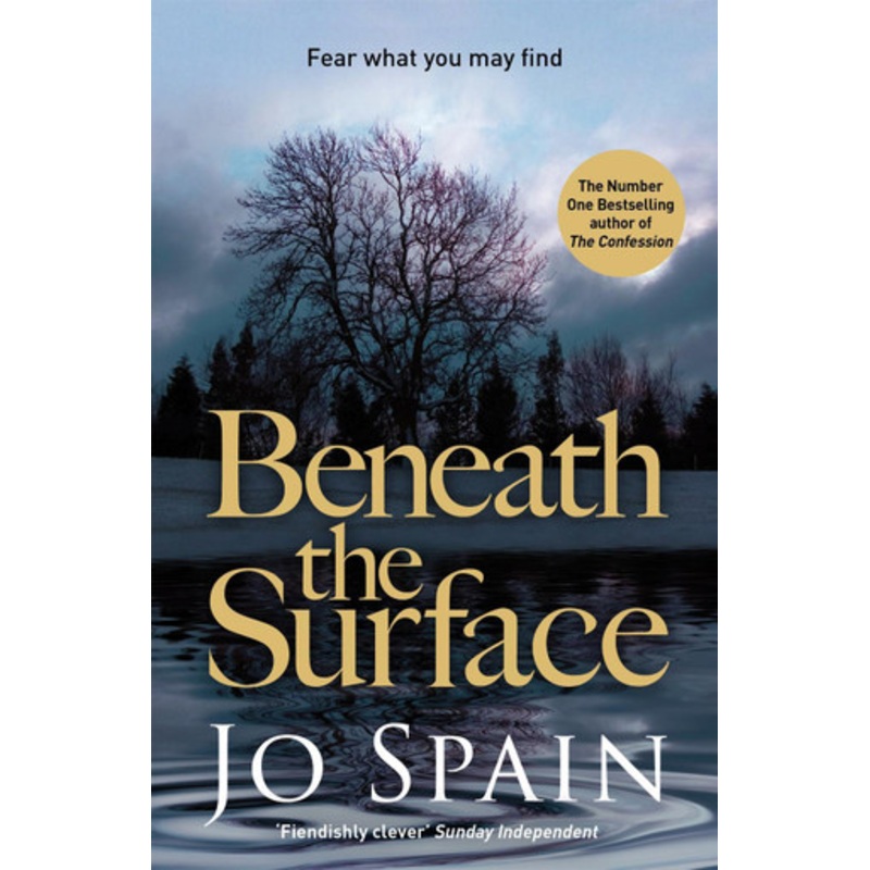 Beneath the Surface: A compelling crime mystery full of shock twists (An Inspector Tom Reynolds Mystery Book 2) Jo Spain 9781784293192
