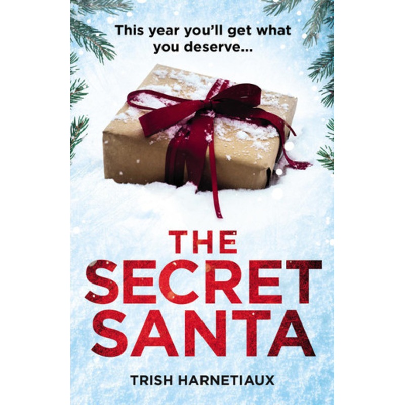 The Secret Santa: This year, you’ll get what you deserve… Trish Harnetiaux 9781787465046