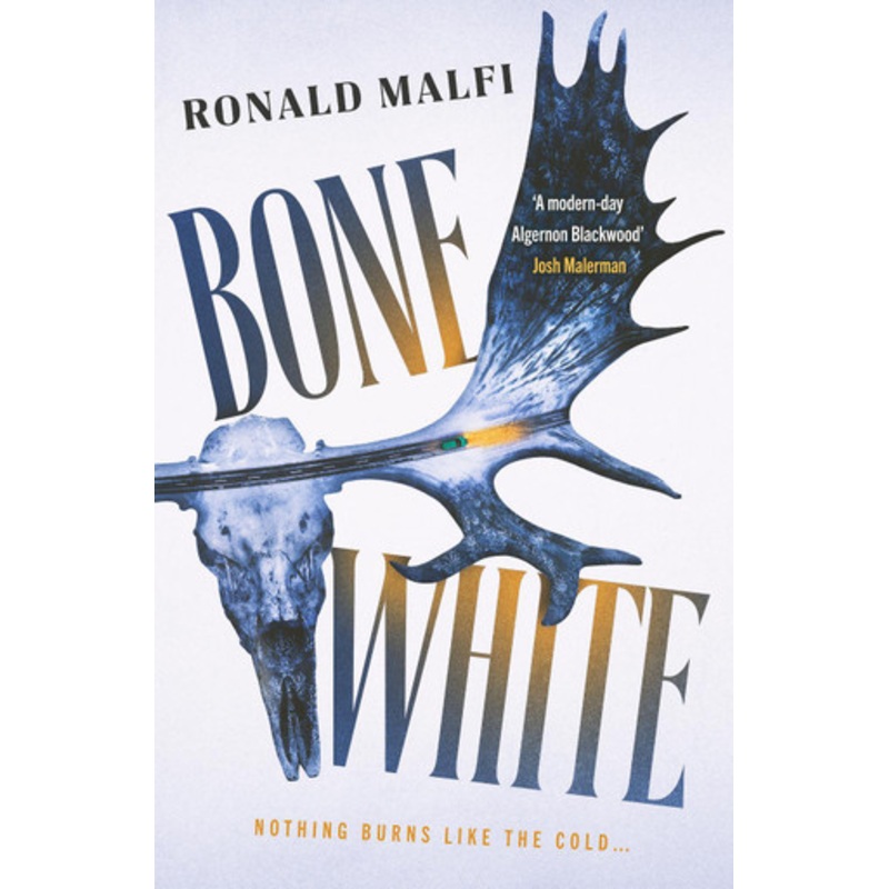 Bone White: A gripping suspenseful horror thriller by Ronald Malfi 9781804366738