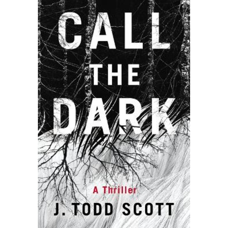 Call the Dark: A Thriller by J. Todd Scott 9781662500411