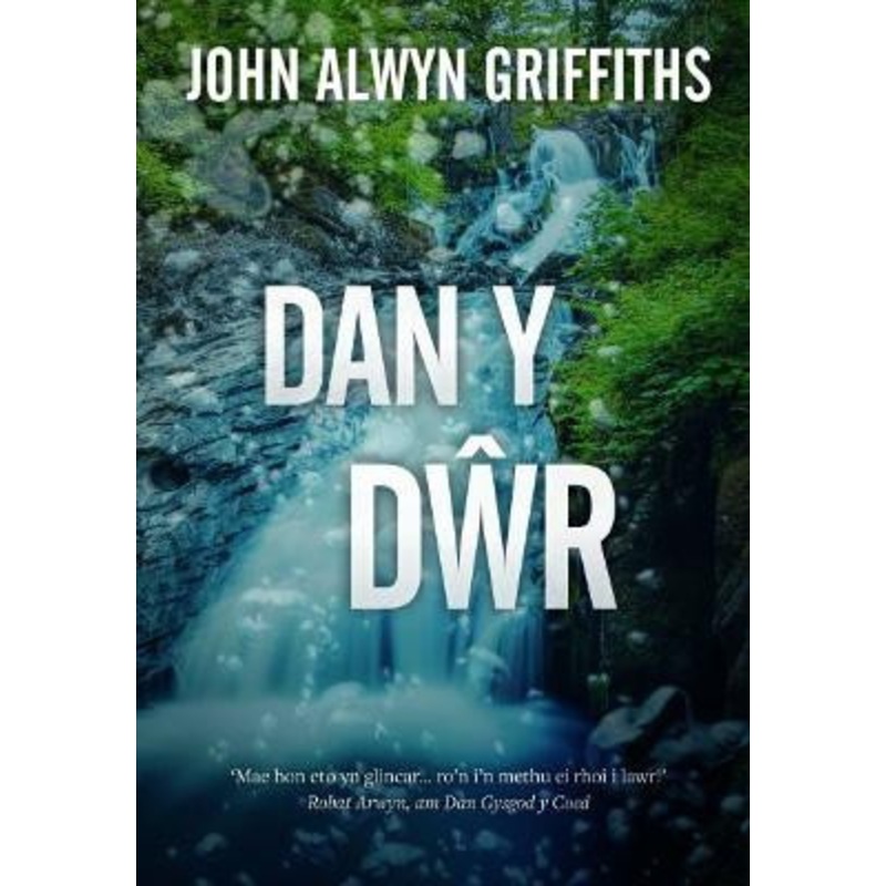 Dan y Dr by John Alwyn Griffiths 9781845279103