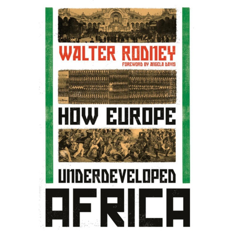 How Europe Underdeveloped Africa by Walter Rodney