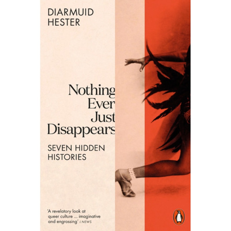 Nothing Ever Just Disappears: Seven Hidden Histories by Diarmuid Hester 9780141998060