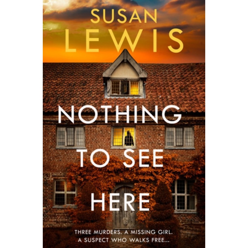 Nothing to See Here Susan Lewis 9780008472016